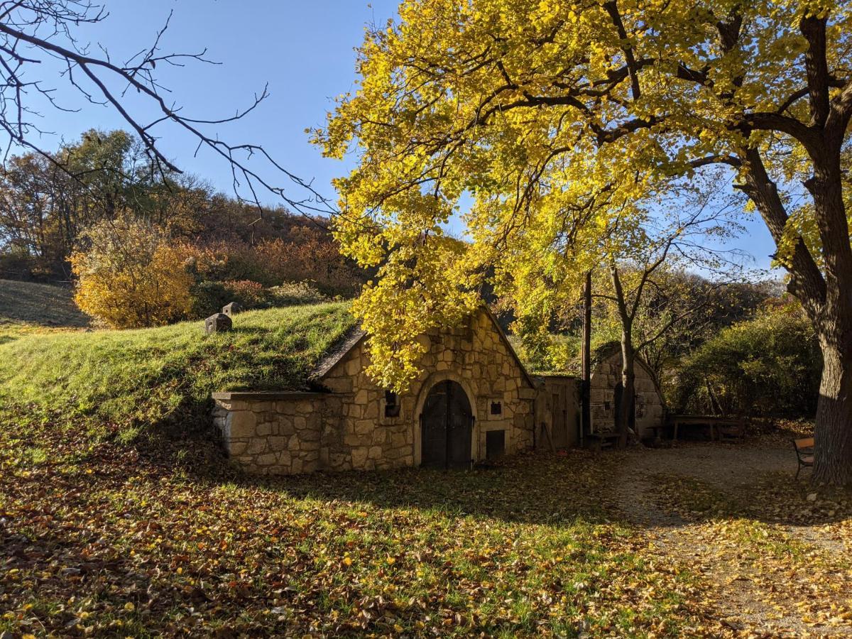 Bonito - Historischer Streckhof Villa Schützen am Gebirge Eksteriør billede